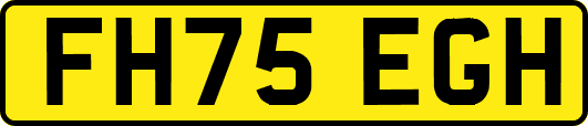 FH75EGH