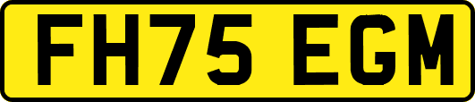 FH75EGM
