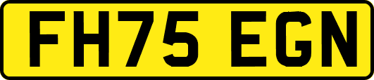 FH75EGN