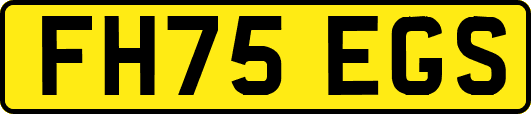FH75EGS
