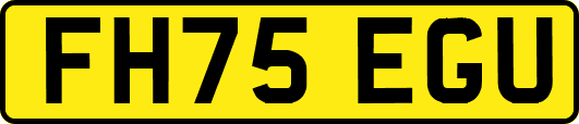 FH75EGU