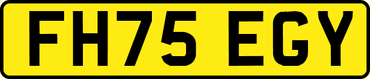 FH75EGY