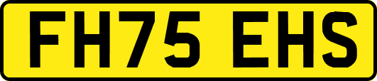 FH75EHS