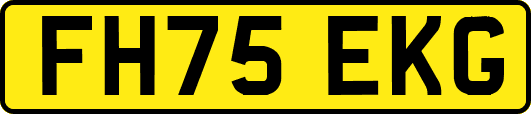 FH75EKG