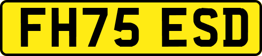 FH75ESD