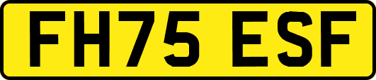 FH75ESF