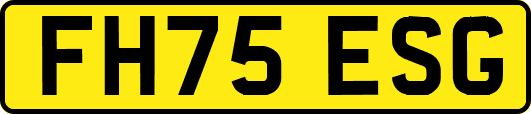 FH75ESG
