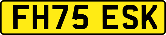 FH75ESK