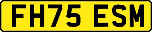 FH75ESM