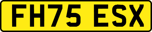 FH75ESX