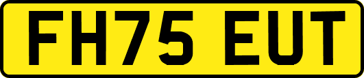 FH75EUT