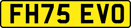 FH75EVO
