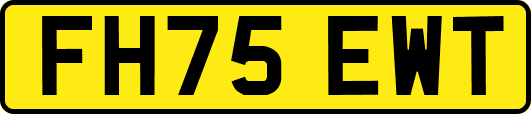 FH75EWT