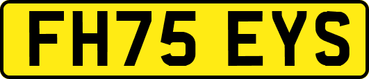 FH75EYS