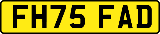 FH75FAD