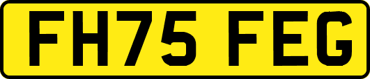 FH75FEG