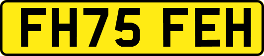 FH75FEH