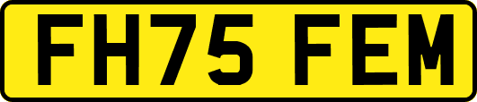 FH75FEM
