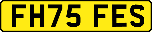 FH75FES