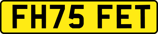 FH75FET