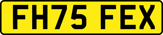 FH75FEX