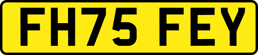 FH75FEY