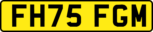 FH75FGM