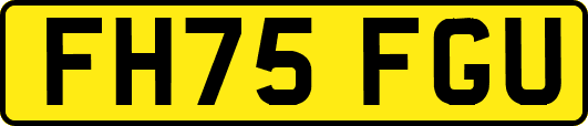 FH75FGU