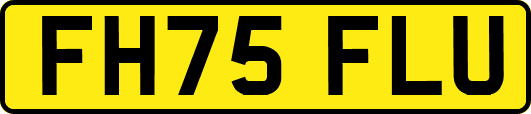 FH75FLU