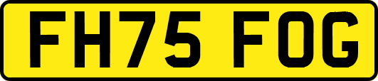 FH75FOG