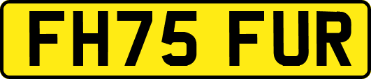 FH75FUR