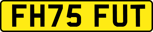 FH75FUT