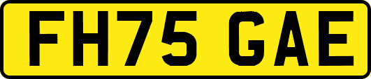 FH75GAE