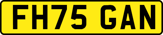 FH75GAN