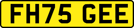 FH75GEE