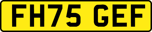 FH75GEF