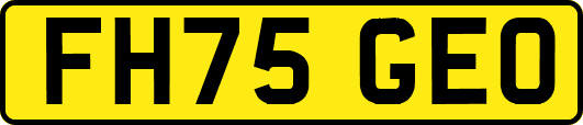 FH75GEO