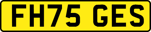 FH75GES