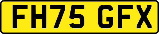 FH75GFX