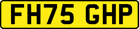 FH75GHP