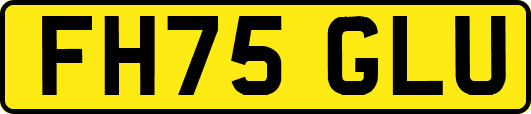 FH75GLU