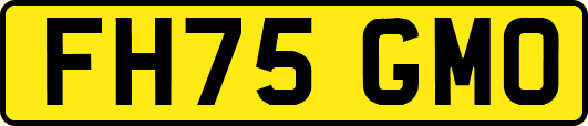 FH75GMO