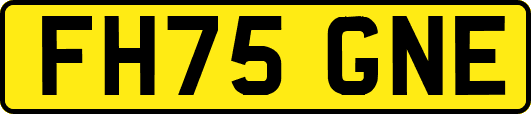 FH75GNE