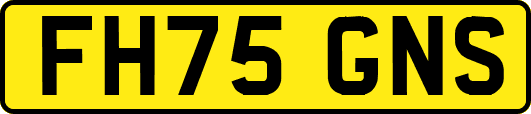 FH75GNS