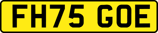 FH75GOE
