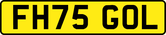 FH75GOL