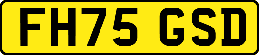 FH75GSD