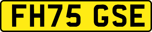 FH75GSE