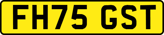 FH75GST