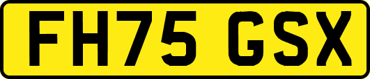 FH75GSX